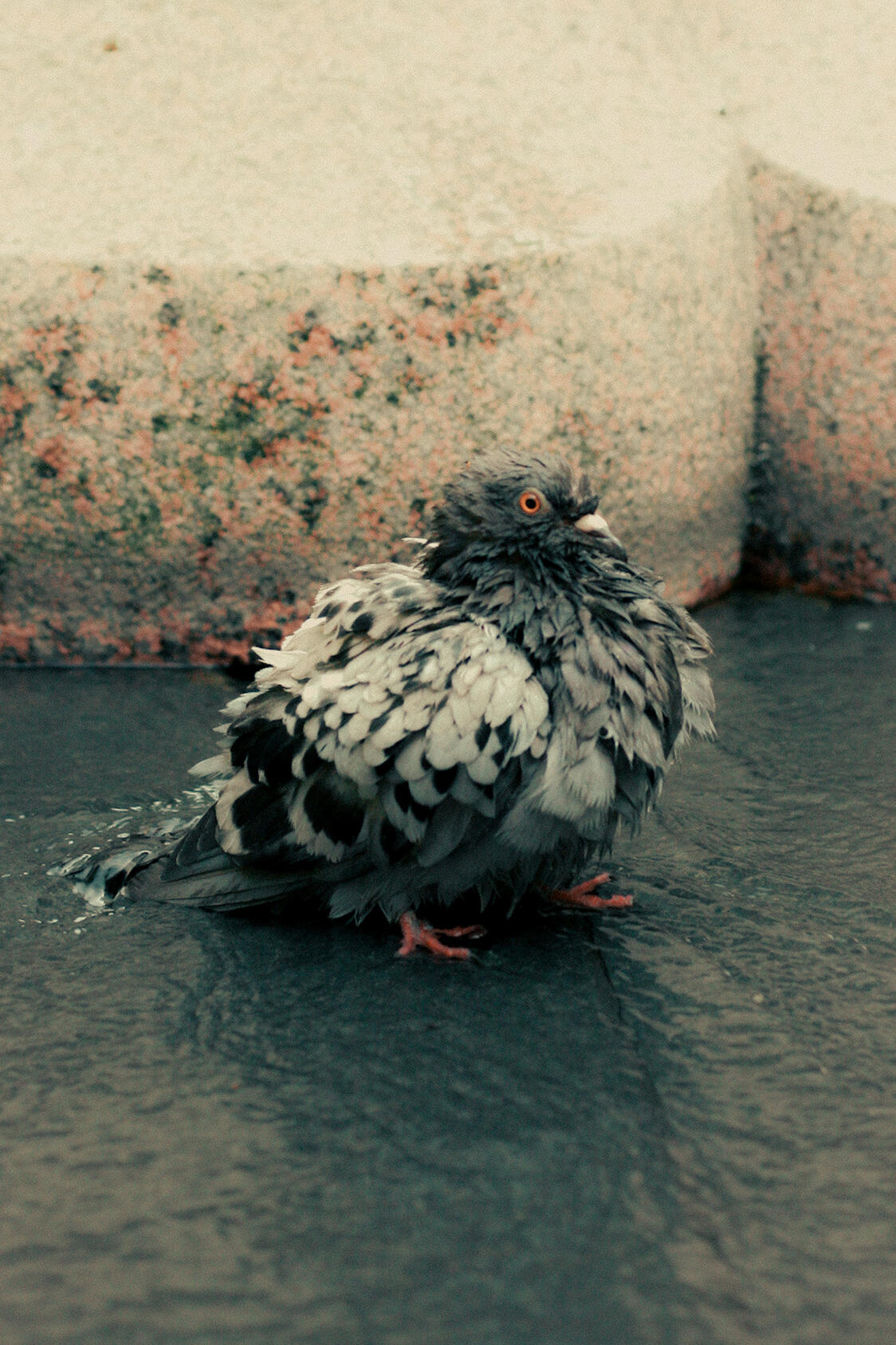 1 0 0 8 2 5 Manchester, England