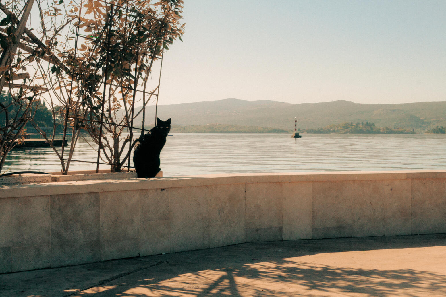 Tivat, Montenegro