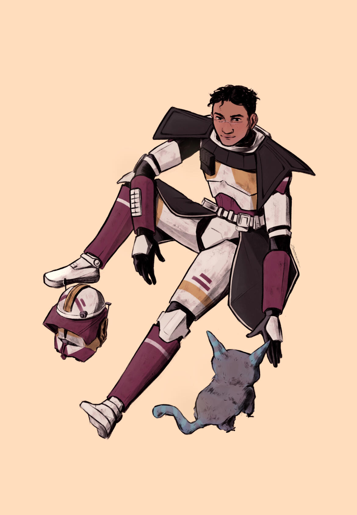 ARC Commander Cub ARC Commander Cub